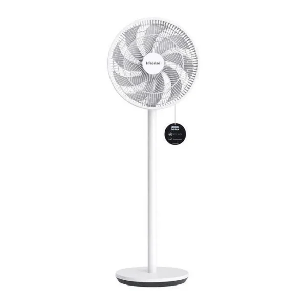 Hisense Standing Fan 35W