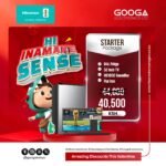 Hi Ina Make Sense Starter Package