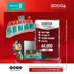 Hi Ina Make Sense Starter Package